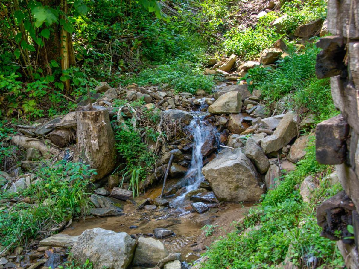 Villa Bearly Hidden Gatlinburg Exterior foto